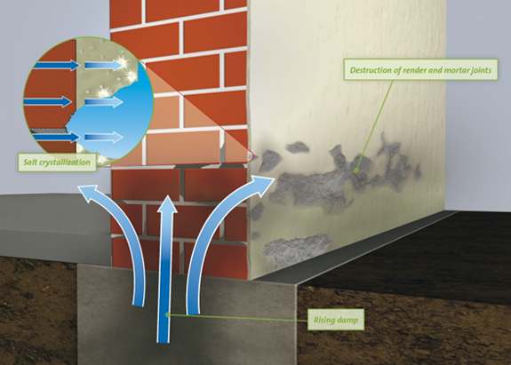Rising Damp in Walls